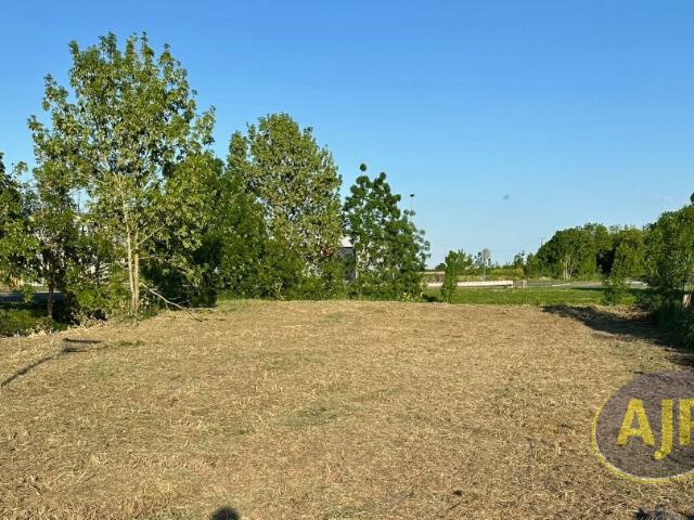 Triaize Vente Terrain 85