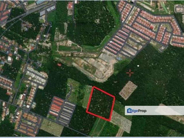 Triang Bandar Bera @ Teriang Pahang, Freehold Agriculture Land For Sale