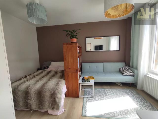 TRIANGLE D'OR T1 BIS MEUBLE