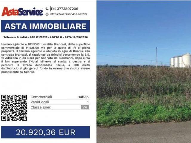 Tribunale Brindisi RGE 121/2023 LOTTO U Tribunale Brindisi RGE 121/2023 LOTTO U ASTA 14/09/2026
