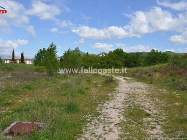 Tribunale di Ancona RG 81/2017 Terreno in asta