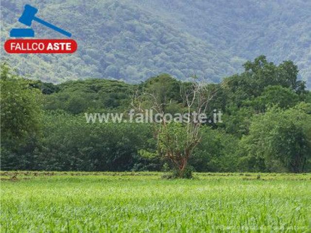 Tribunale di Bari RG 965/2017 Terreno agricolo in asta