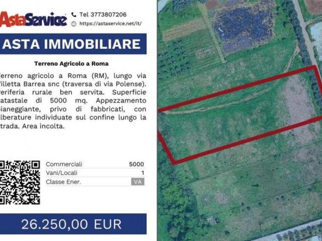 Tribunale Roma RGE 792/2015 L2638529 Terreno Agricolo a Roma