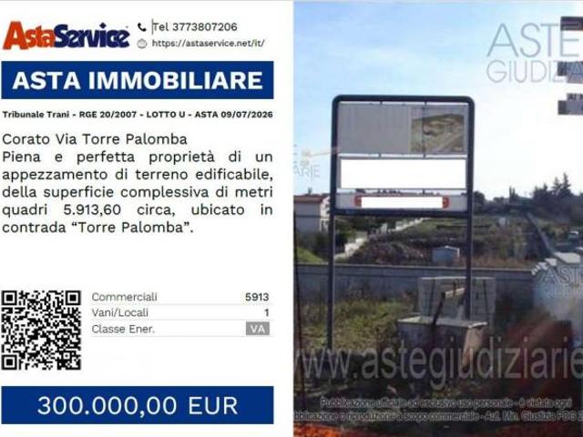 Tribunale Trani RGE 20/2007 LOTTO U Tribunale Trani RGE 20/2007 LOTTO U ASTA 09/07/2026