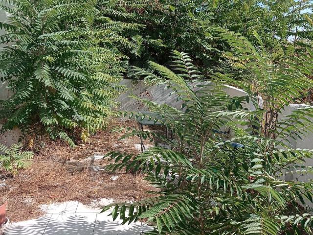 Trilocale con giardino in vico chisone 71, Messina