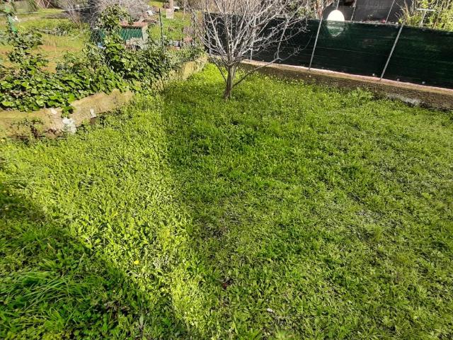 Trilocale con giardino, Rosignano Marittimo rosignano solvay