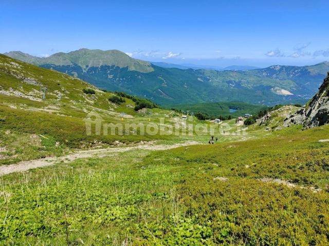 Trilocale Cerreto Alpi, Ventasso