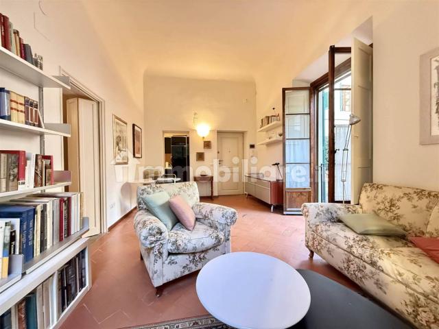 Trilocale Borgo Pinti 67, San Marco SS Annunziata, Firenze