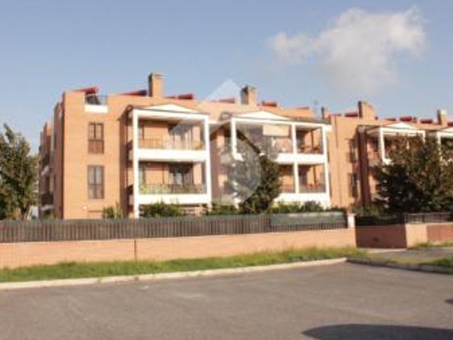 Trilocale in affitto