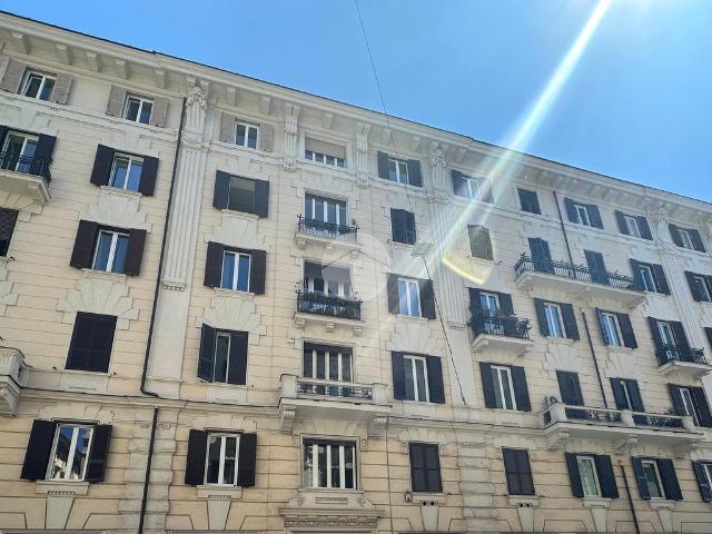 Trilocale in affitto