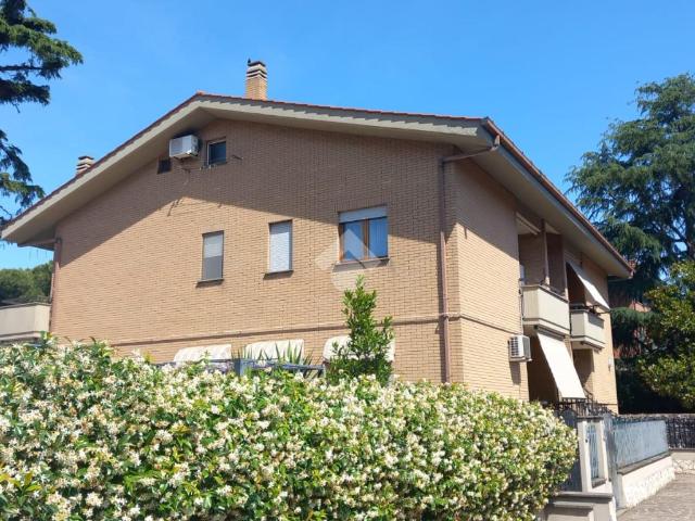 Trilocale in affitto