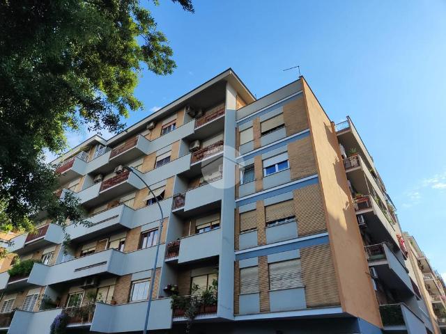 Trilocale in affitto