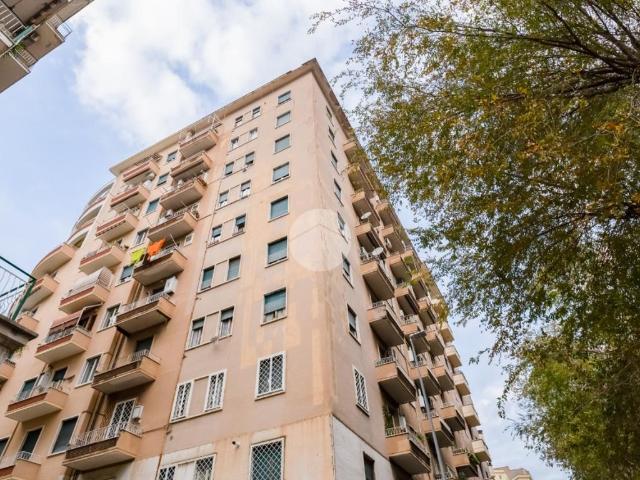 Trilocale in affitto