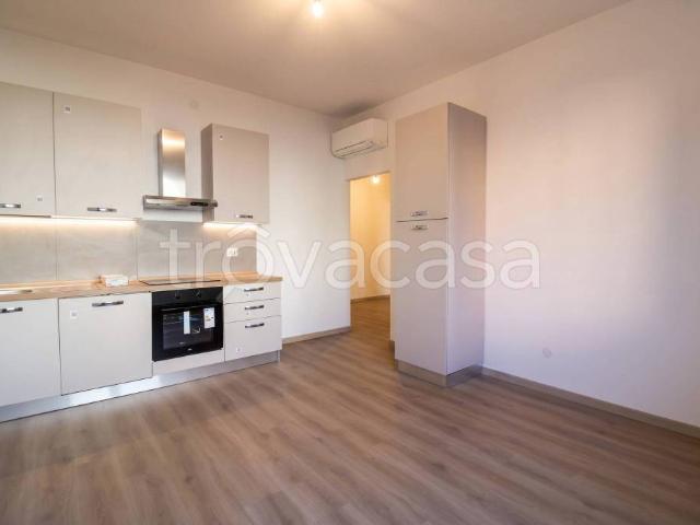 Trilocale in affitto a Medesano viale Dante, 46