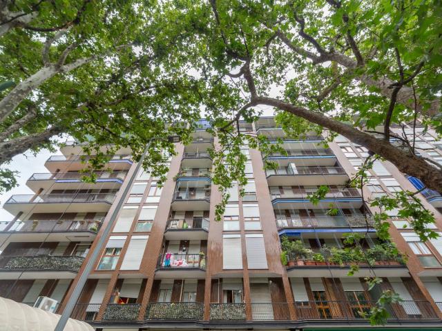 Trilocale in affitto a Milano, case in affitto Milano