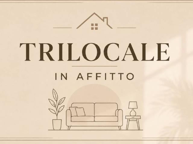 Trilocale in affitto a Bagnolo Mella