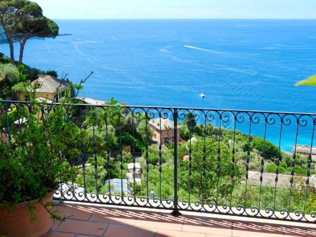 Trilocale in affitto a Camogli