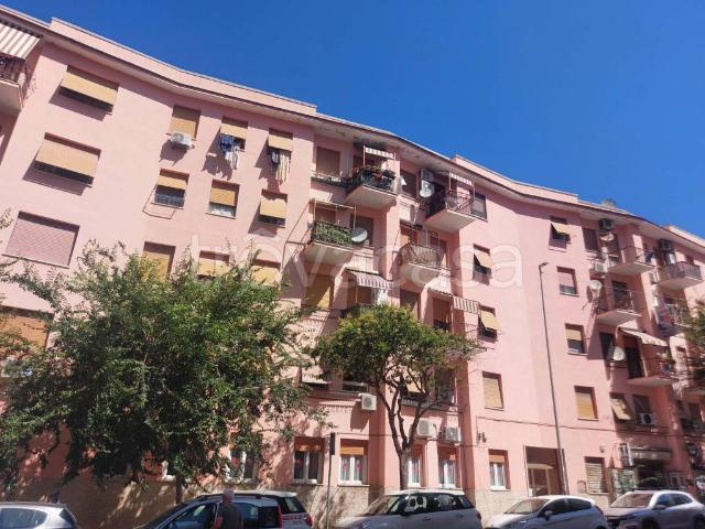 Trilocale in affitto a Civitavecchia viale Giacomo Matteotti