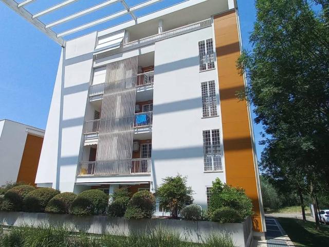 Trilocale in affitto a Firenze, case in affitto Firenze