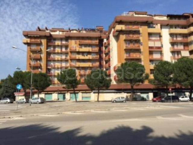 Trilocale in affitto a Foggia via Napoli, 67, San Ciro Stadio