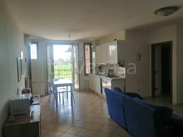 Trilocale in affitto a Reggio nell'Emilia, Masone Gavasseto