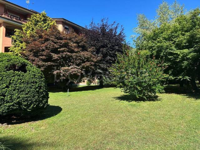 Trilocale in affitto ad Arona via 24 Maggio