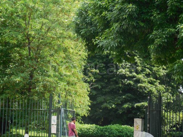 Trilocale in vendita a Milano corso Venezia, San Babila