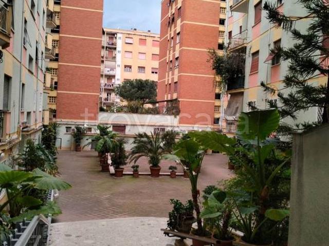 Trilocale in vendita a Roma, San Paolo
