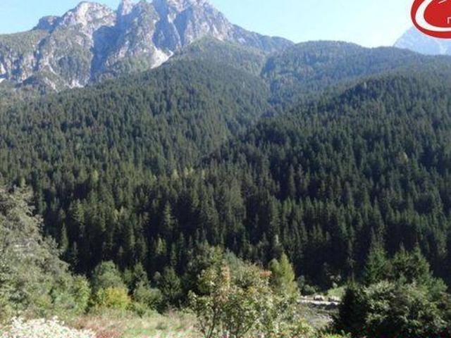 Trilocale in vendita a San Pietro di Cadore