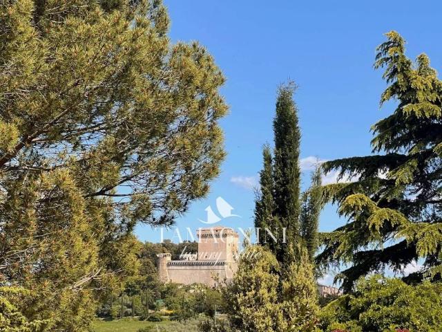 Trilocale in vendita a Sarteano
