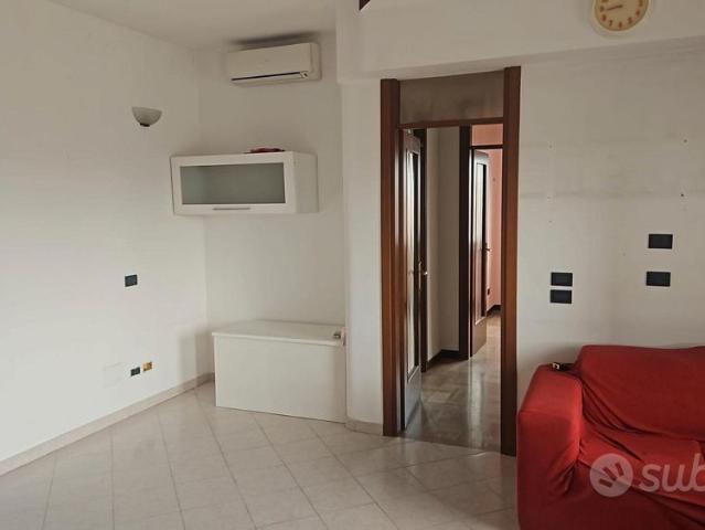 Trilocale piazza guala libero subito