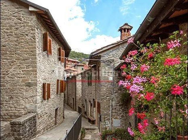 Trilocale Raggiolo, Raggiolo, Ortignano Raggiolo
