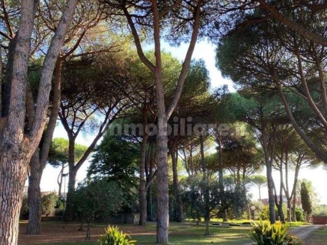 Trilocale via Appia Nuova 80, Frattocchie, Marino