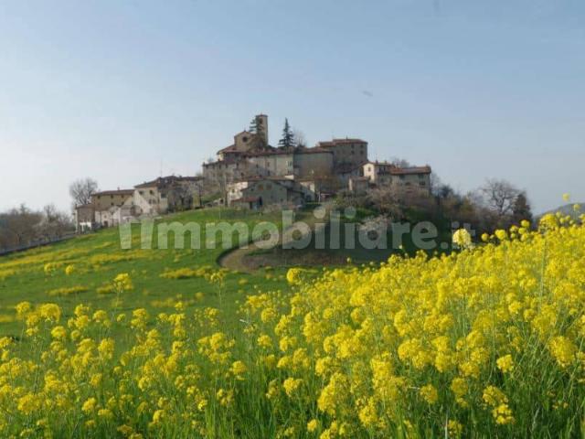 Trilocale via Casellina, Monteombraro, Zocca