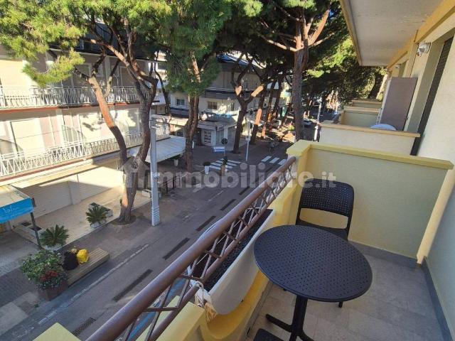 Trilocale viale Dante Alighieri 163, Alba Mare, Riccione