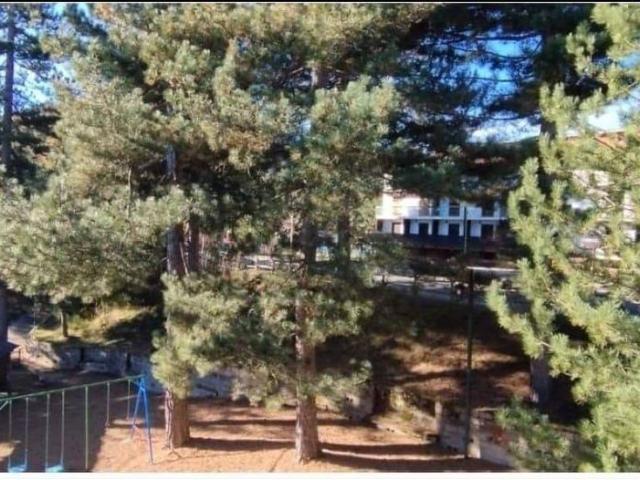 Trilocale viale Pian del Sole 45, Cotronei