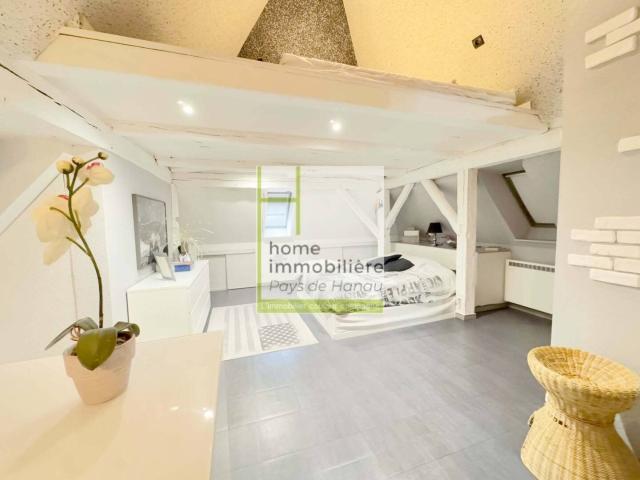 Triplex maison 5 pièces 147 m² centre ville d'Ingwiller