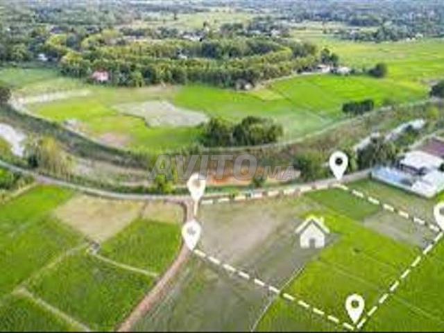 Triplex 2 façades 120m en vente