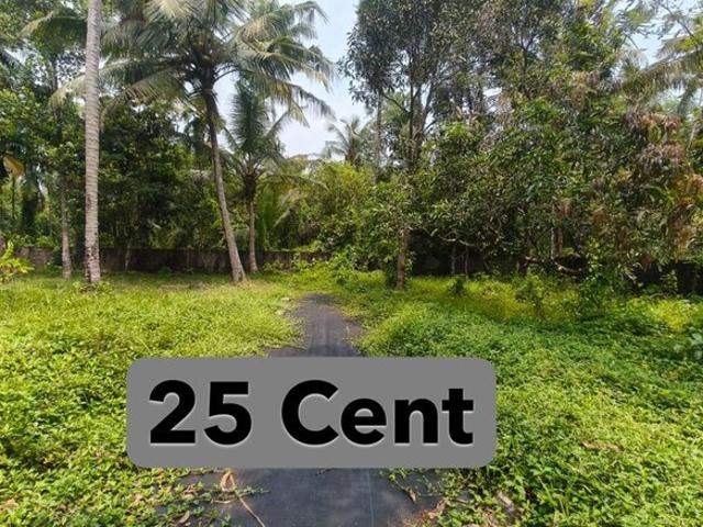 Tripunithura, Kochi East 10892 Sq.Ft. Plot in Tripunithura Kochi Listing ID: #10137