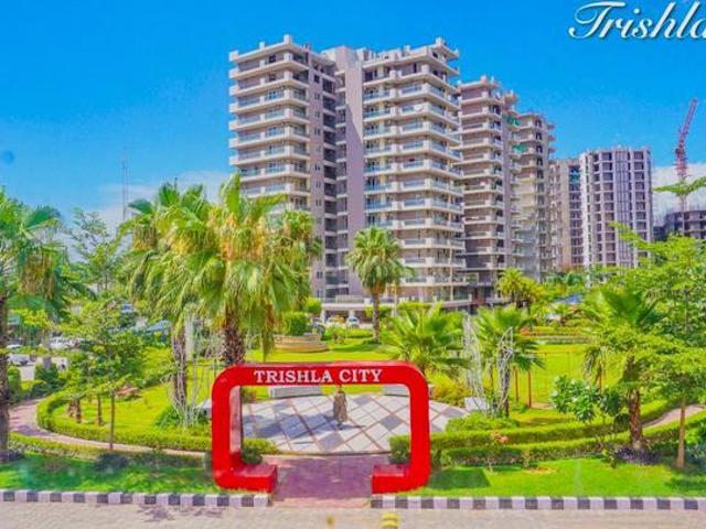 Trishla City,Nabha 3 BHK Apartment For Sale Zirakpur