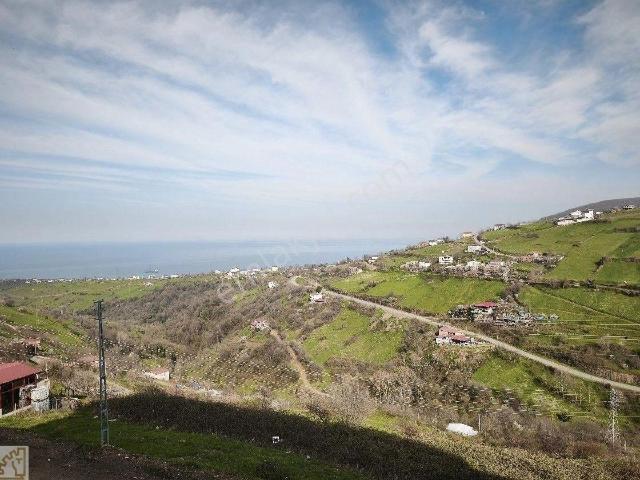 Truva Yağız'dan Hasköy'de Deniz Ve Doğa Manzaralı İskanlı Sıfır Daire