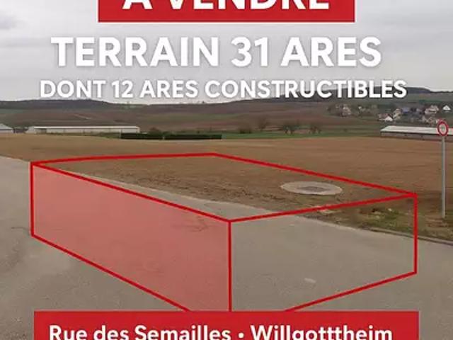 Truchtersheim 67370 Achat / Vente terrain