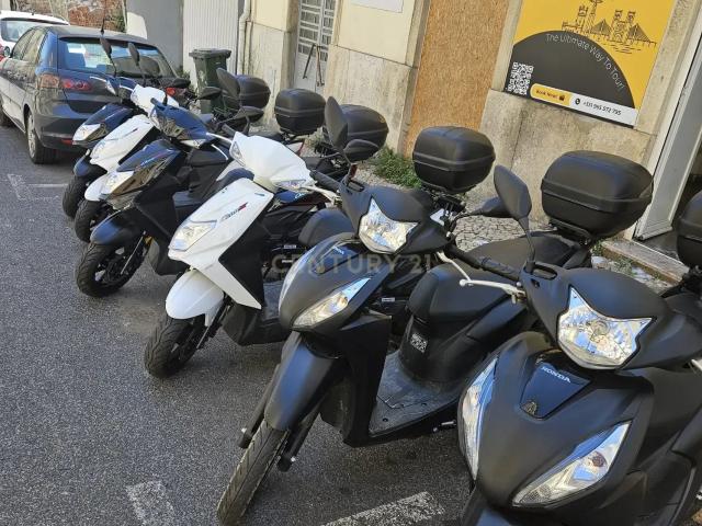 ️ TRUE WHEELS RENTAL – A forma mais emocionante de explorar Lisboa!