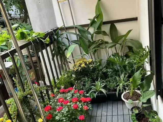 Trung tâm Hà Đông – Bán nhà 2 tầng đẹp – 50m ra phố, 100m ra chợ