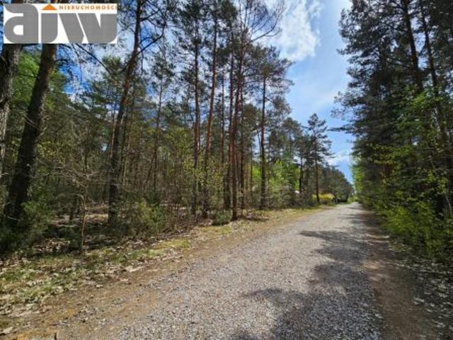 Truskaw, 2765 m² Działka