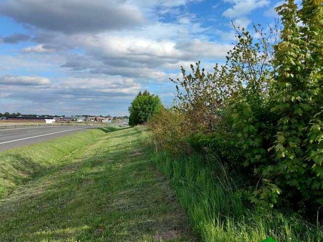 Trybunalska 9 711 m², Kruszów