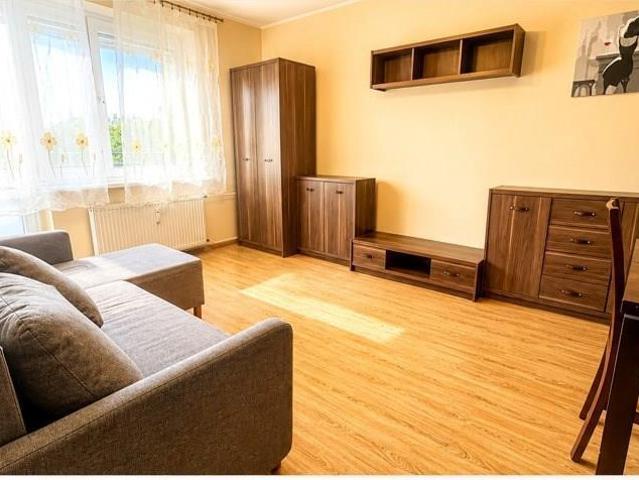 Mieszkanie do wynajęcia, Poznań Poznań Grunwald Pogodna, 1990 PLN, 53 m2, domy 37555/4034/OMW