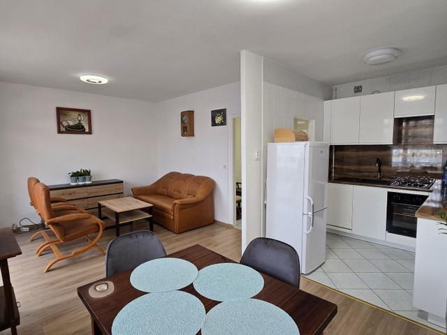 Mieszkanie do wynajęcia, Sosnowiec Sielec Klimontowska, 2700 PLN, 56 m2, domy 2/W