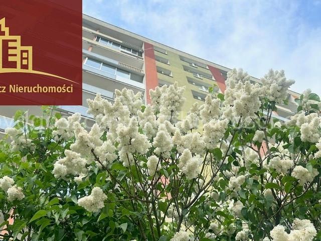 Mieszkanie do wynajęcia, Bydgoszcz Wyżyny, 1700 PLN, 48 m2, domy 24310