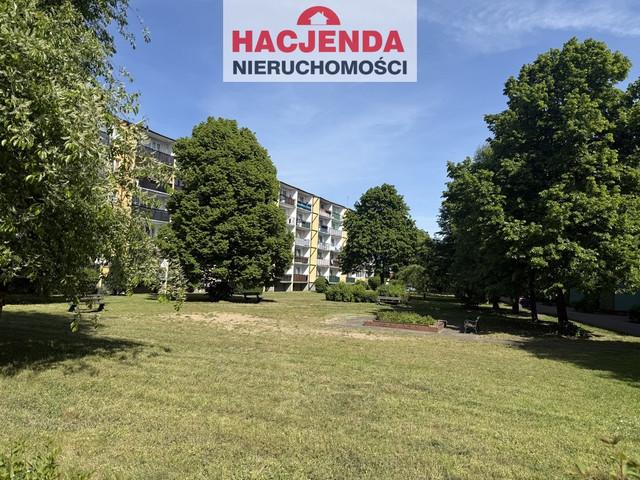 Trzypokojowe mieszkanie do wynajęcia